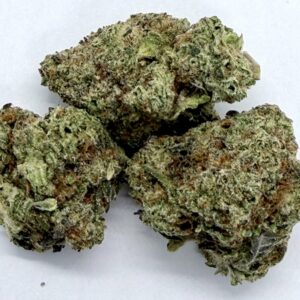 He's Back: King Louie XIII