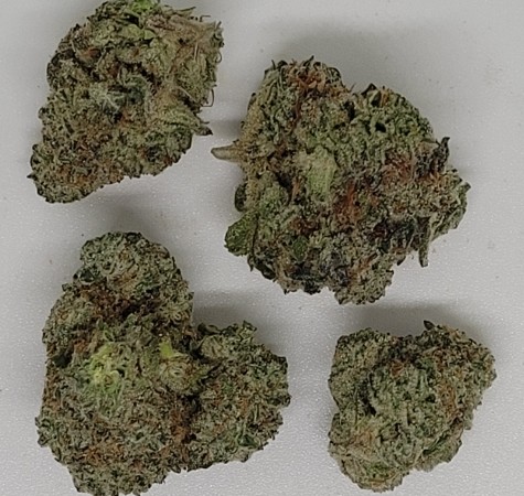 NEW: King Louie XIII