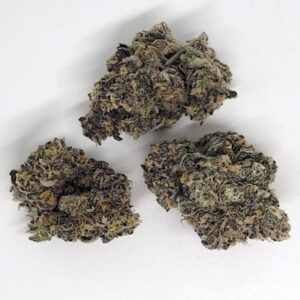 NEW: Oklahoma Coma