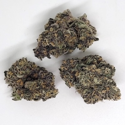 NEW: Oklahoma Coma
