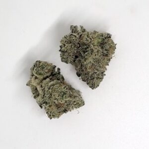 NEW: Trainwreck